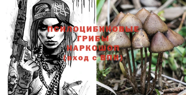 мяу мяу кристалл Ельня