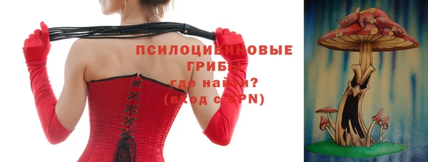 ешки Елабуга