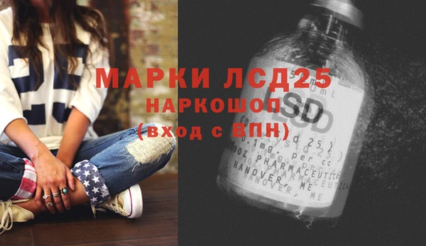 PSILOCYBIN Братск