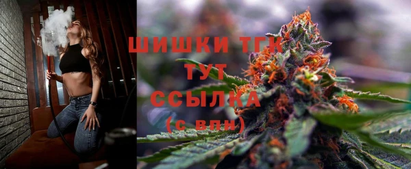 ешки Елабуга