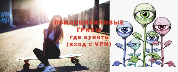 ешки Елабуга